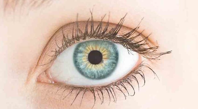 Oftalmologista consegue diagnosticar doenças reumatológicas, hematológicas, auto-imunes e muito mais Gazeta das Caldas