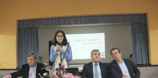 Todos os combatentes da Serra do Bouro na I Grande Guerra voltaram para casa Gazeta das Caldas - 1ª G Guerra