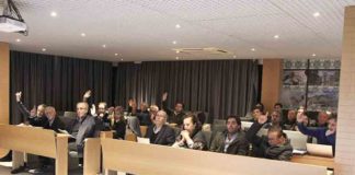 Gazeta das Caldas - Assembleia Municipal