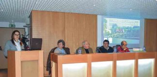 Gazeta das Caldas - Assembleia Municipal