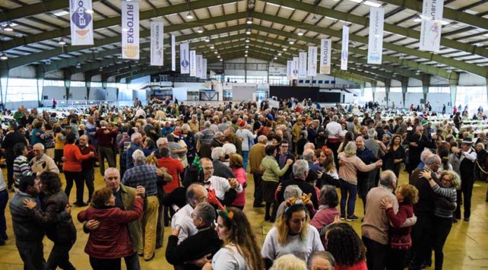 Mais de 1500 séniores juntaram-se para festejam o Natal