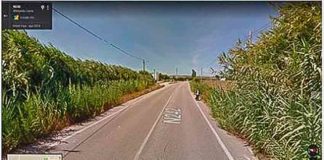 Petição para ciclovia entre Alfeizerão e S. Martinho do Porto Gazeta das Caldas