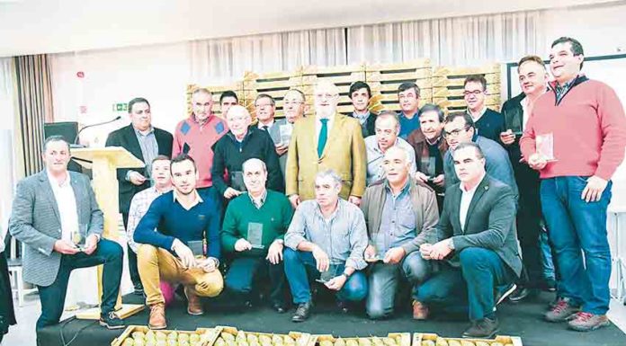 Produtores precisam de água e de seguros para continuar a garantir a excelência da pêra Rocha Gazeta das Caldas - Pêra Rocha