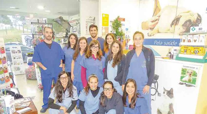 Caldas tem um hospital veterinário há 10 anos Gazeta das Caldas