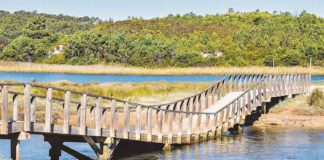 Intervenção na Ponte da Ferraria começa em inícios de Janeiro Gazeta das Caldas - Ponte da Ferraria