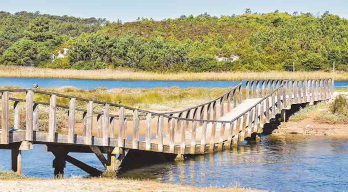 Intervenção na Ponte da Ferraria começa em inícios de Janeiro Gazeta das Caldas - Ponte da Ferraria