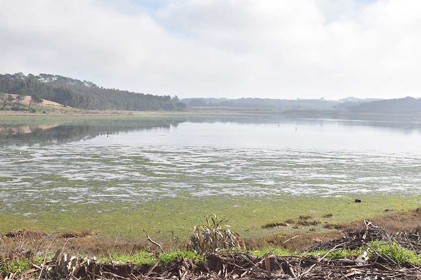 Gazeta das Caldas - dragagens