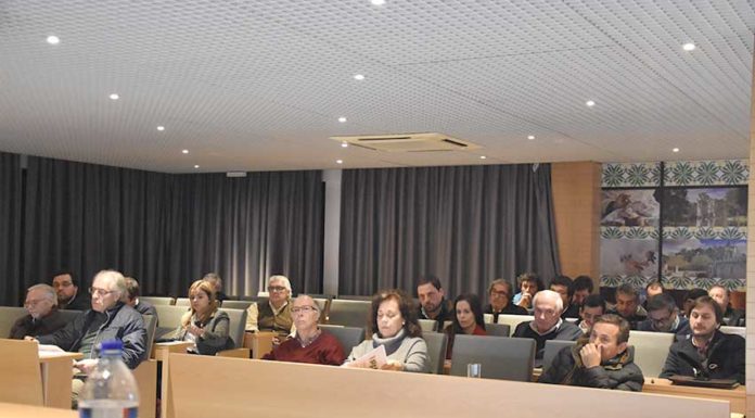 Caldas da Rainha vai ter estacionamento pago nas ruas Gazeta das Caldas - Assembleia Municipal