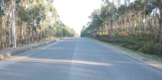 Gazeta das Caldas - Foz do Arelho