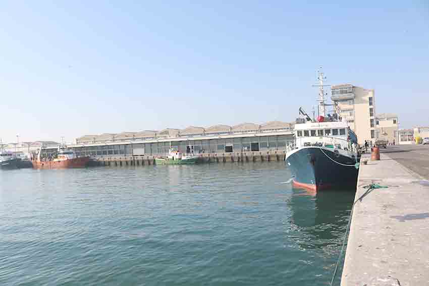 Peniche quer criar Parque de Ciência e Tecnologia do Mar