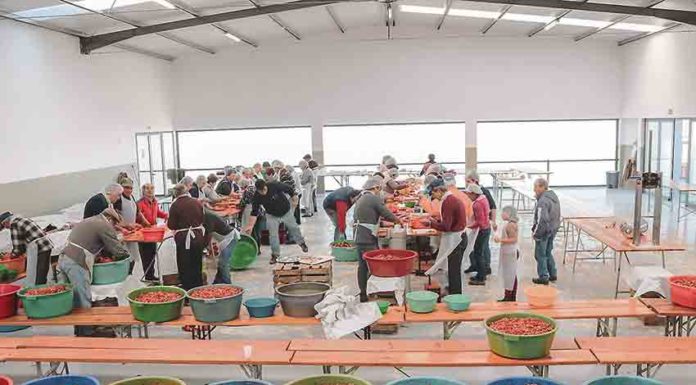 Em Salir de Matos a comunidade junta-se para fazer chouriço e angariar dinheiro para a paróquia Gazeta das Caldas - Salir de Matos