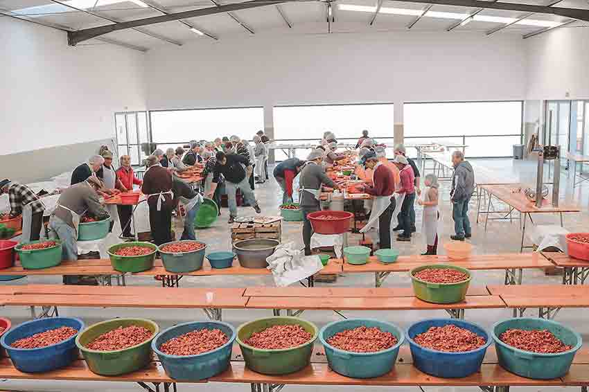 Gazeta das Caldas - Salir de Matos