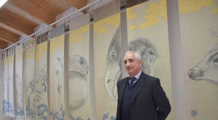 A fauna e a flora de Portugal e do Japão estão em exposição nas Caldas da Rainha Gazeta das Caldas - Kaeru