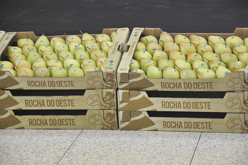 Gazeta das Caldas - Pêra Rocha