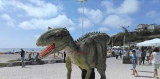 Parque dos Dinossauros atribui bolsas de investigação científica Gazeta das Caldas