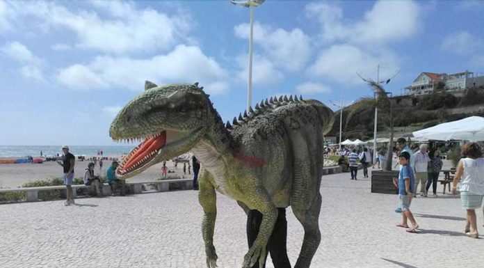 Parque dos Dinossauros atribui bolsas de investigação científica Gazeta das Caldas