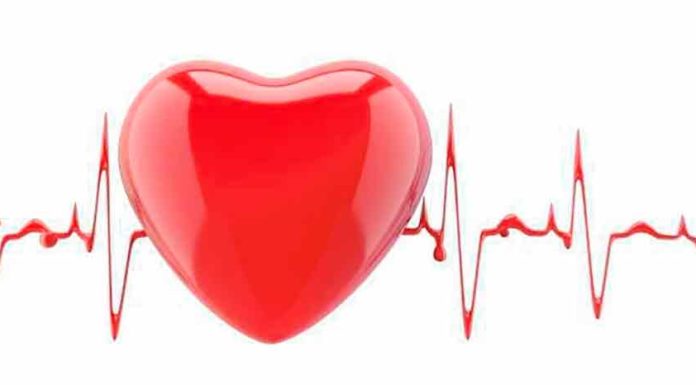 Dia Nacional do Doente Coronário celebrou-se a 14 de Fevereiro