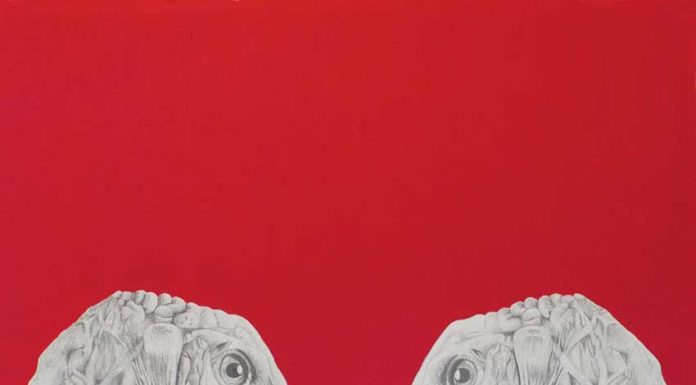 Diplomada da ESAD expõe nos Estados Unidos Gazeta das Caldas - Piló