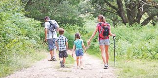 Hábitos Saudáveis no Desenvolvimento Infantil