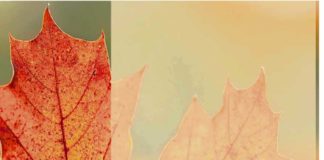 Seniores e vida activa Gazeta das Caldas - Seniores