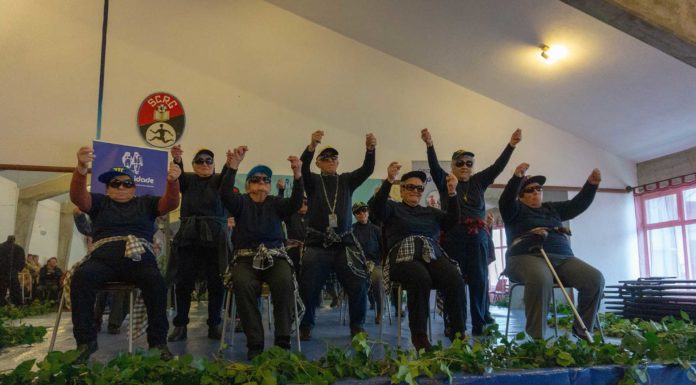 Seniores mostraram que não há idade para dançar