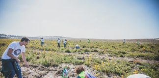 Marca de roupa planta 10 mil árvores no Pinhal de Leiria