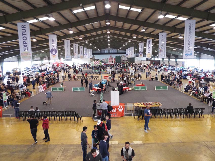 54258303_2316382328687516_8523119658381869056_n