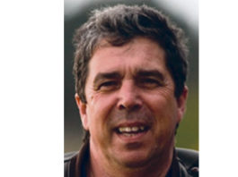 Gazeta das Caldas - Asas e bicos