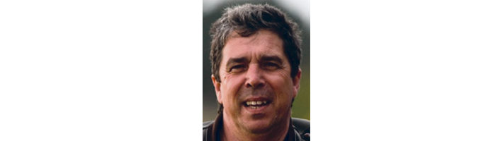 Gaivota-argêntea ou Gaivota-de-patas-amarelas (Larus michahellis) Gazeta das Caldas - Asas e bicos