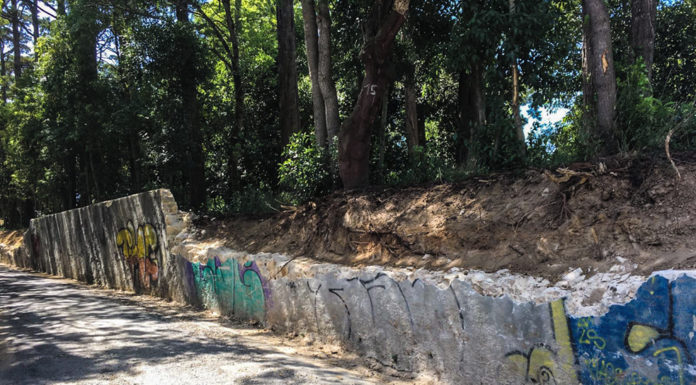 Proposta uma solução mais leve para o muro da Mata