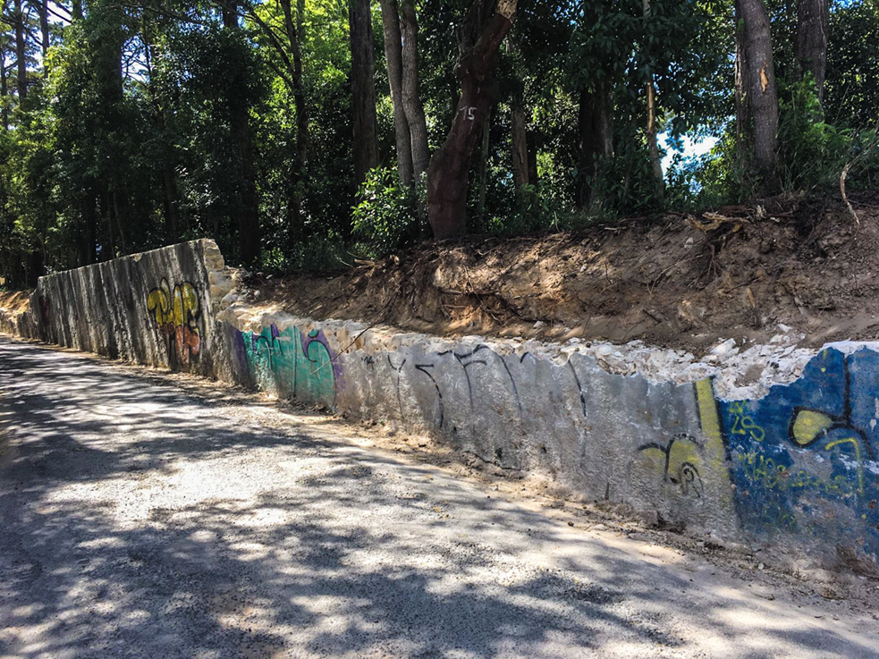 Proposta uma solução mais leve para o muro da Mata