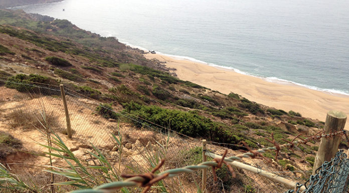 Tribunal confirma ilegalidade de vedação na arriba da Praia da Gralha