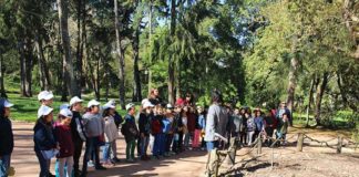 Ares de Arte destacou cultura e natureza no Parque