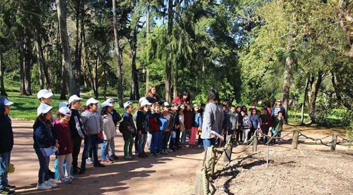 Ares de Arte destacou cultura e natureza no Parque