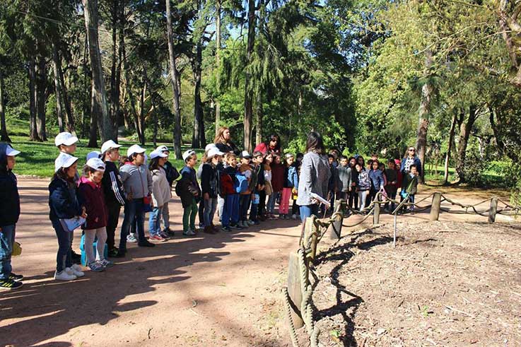 Ares de Arte destacou cultura e natureza no Parque