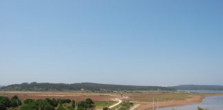 PCP de Óbidos contra projecto de exploração de bivalves na Lagoa