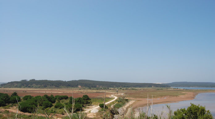 PCP de Óbidos contra projecto de exploração de bivalves na Lagoa