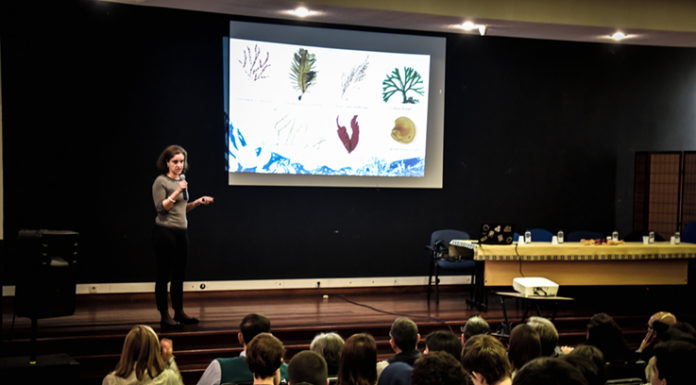 Semana Raul Proença decorre até hoje com dezenas de actividades na escola