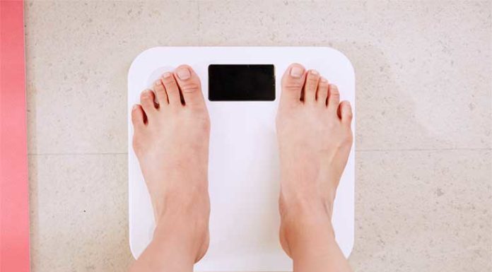 Obesidade e Saúde gazeta das caldas