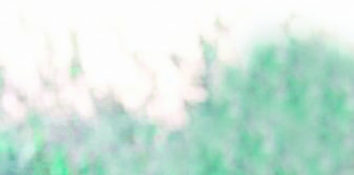 Jovem caldense é uma das “melhores escuteiras do mundo”