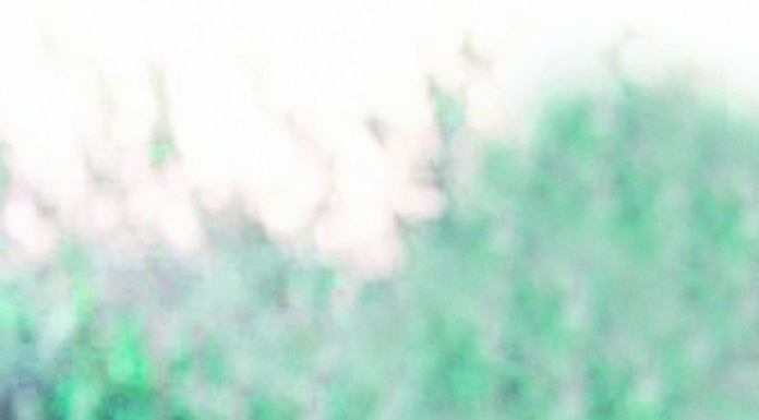 Jovem caldense é uma das “melhores escuteiras do mundo”