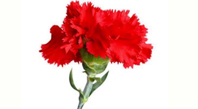 PS comemora Abril no Coto