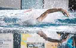 Natação | Pimpões garantem 50 recordes em torneio em Alcobaça Gazeta das Caldas - Natação