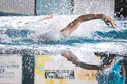 Natação | Pimpões garantem 50 recordes em torneio em Alcobaça Gazeta das Caldas - Natação