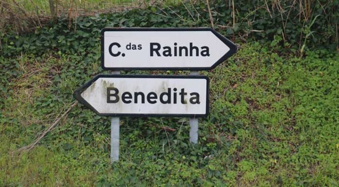 CDS-PP da Benedita quer uma estrada nova para as Caldas