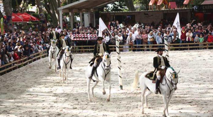 Oeste Lusitano teve a maior participação de sempre