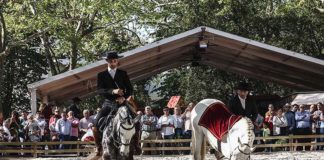 Oeste Lusitano no Parque a partir de hoje