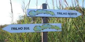 Paul da Tornada dinamiza visitas e sessões de formação