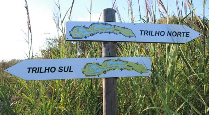 Paul da Tornada dinamiza visitas e sessões de formação