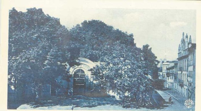 A Fragilidade do Vidro